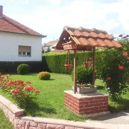 Kuca Mijalkovic Pirot